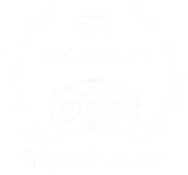 Altezza Travel, número 1 en Tripadvisor