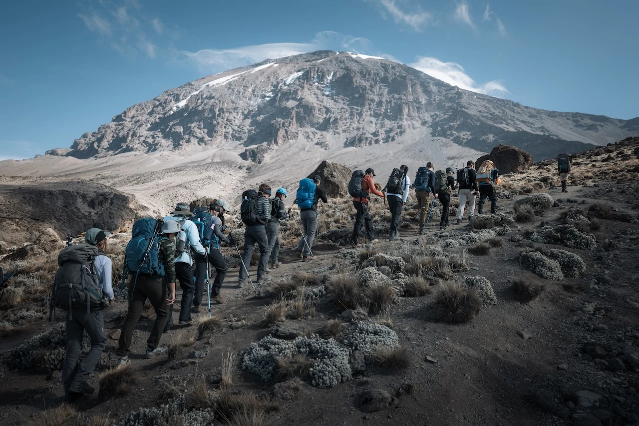 Trekkers de Altezza en un viaje compartido al Kilimanjaro