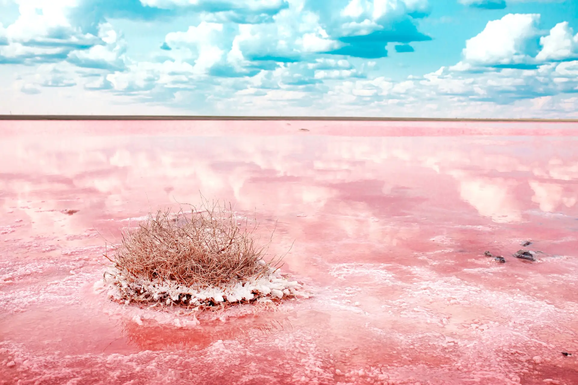 En la temporada seca, el lago se vuelve rojo y queda cubierto de sal. Foto: Vera Larina / Shutterstock
