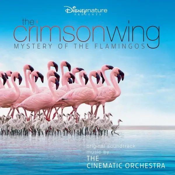 Portada del documental “The Crimson Wing: Mystery of the Flamingos”