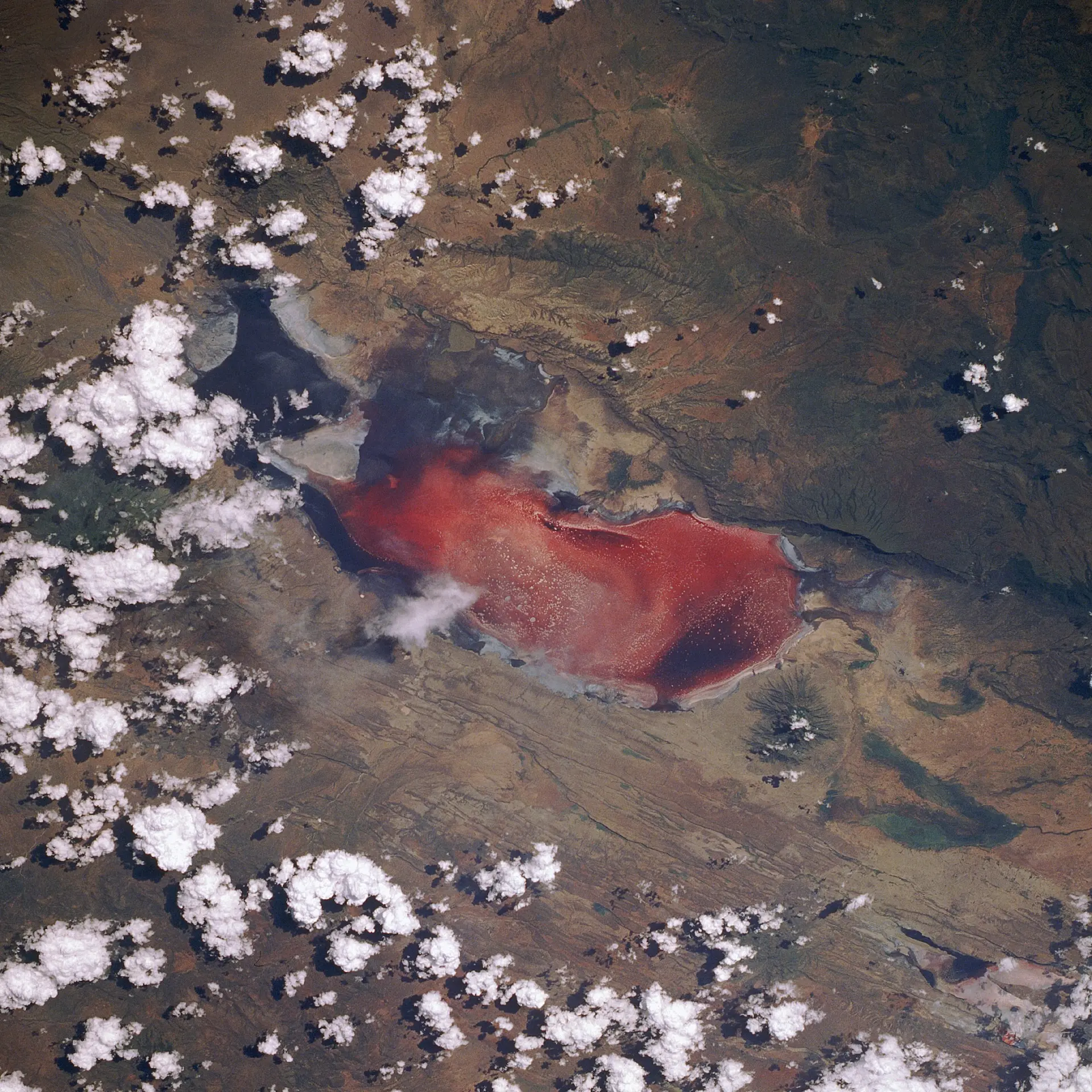 Lago Natron, a veces llamado «el lago rojo mortal», visto desde el transbordador espacial Discovery durante la misión STS-29. Foto: NASA