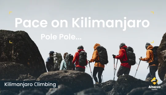 Encontrá tu ritmo en el Kilimanjaro | Altezza Travel