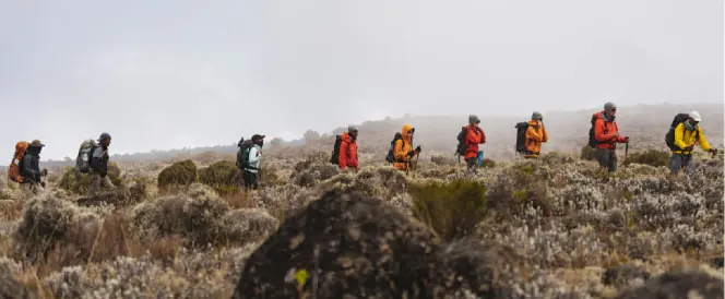 Ruta Northern Circuit - Day 6 - Trekking desde el Campamento Buffalo hasta el Campamento 3rd Cave
