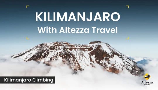Ascenso al Kilimanjaro: información esencial | Altezza Travel