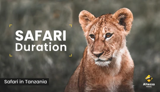 Planificación de safari: ¿cuántos días necesitás?