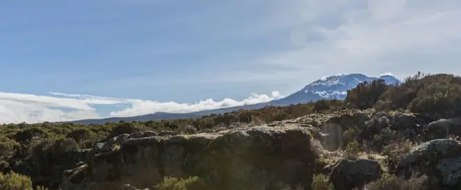 Ruta Marangu - Day 3 - Trekking desde la cabaña Mandara hasta la cabaña Horombo