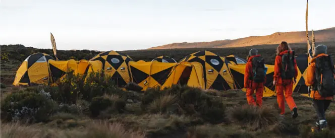Ruta Lemosho - Day 3 - Trekking del Campamento Shira 1 al Campamento Shira 2