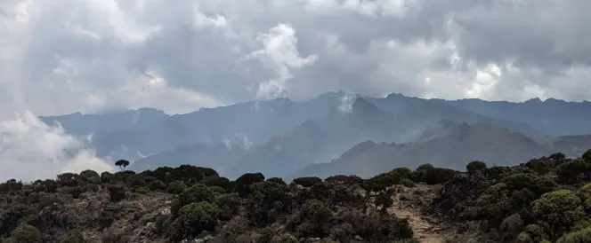 Ruta Umbwe - Day 3 - Trekking desde el campamento Umbwe hasta el campamento Barranco