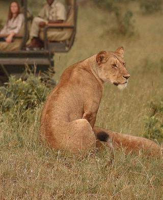 Parque Nacional Serengeti