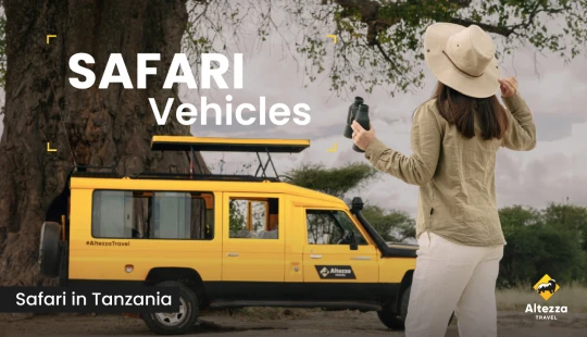 Lo esencial de un vehículo de safari perfecto